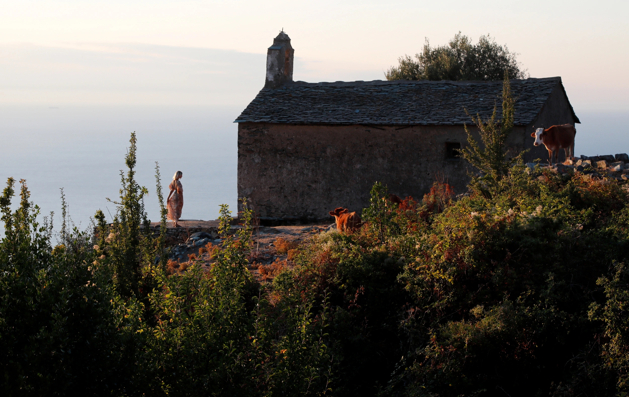 Le Tomino, hôtel dans le Cap Corse